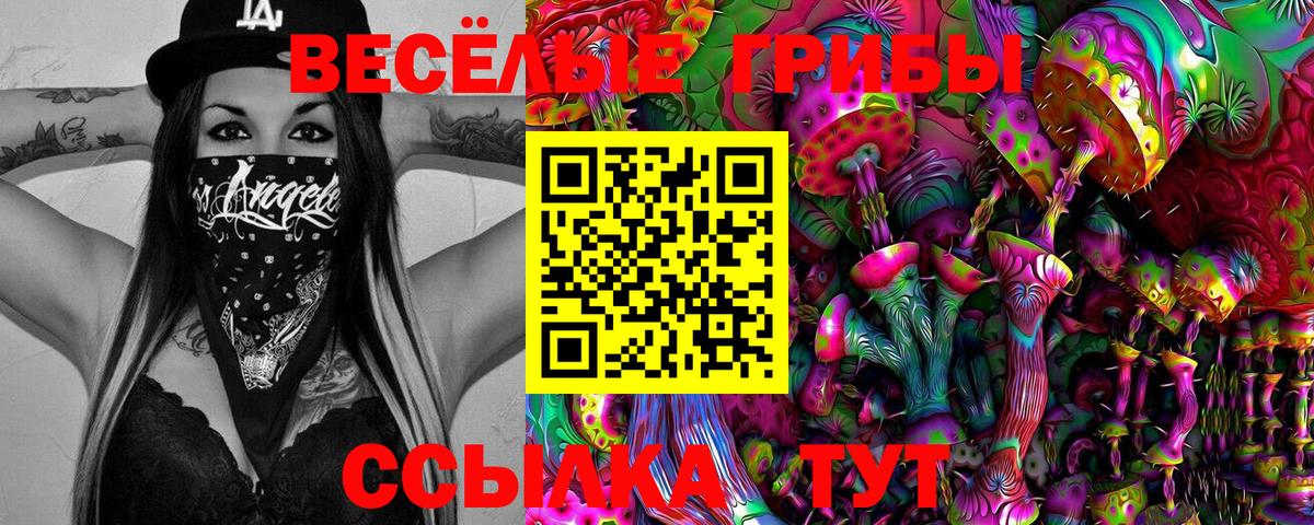 Муравленко  Псилоцибиновые грибы мухоморы  Вход с VPN 