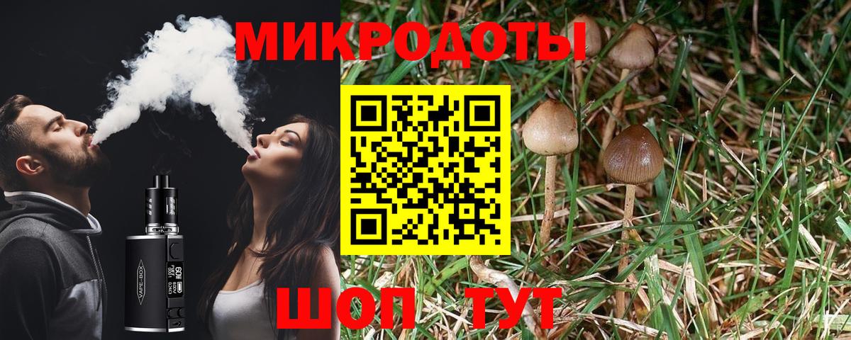 Псилоцибиновые грибы MAGIC MUSHROOMS Муравленко